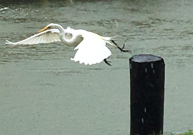 Building Photo - 16 Harbor Ln