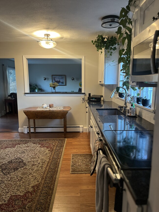 newly renovated kitchen - 33 Beaumont St