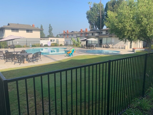 Grass area near by pool - 1441 Prospect Ave