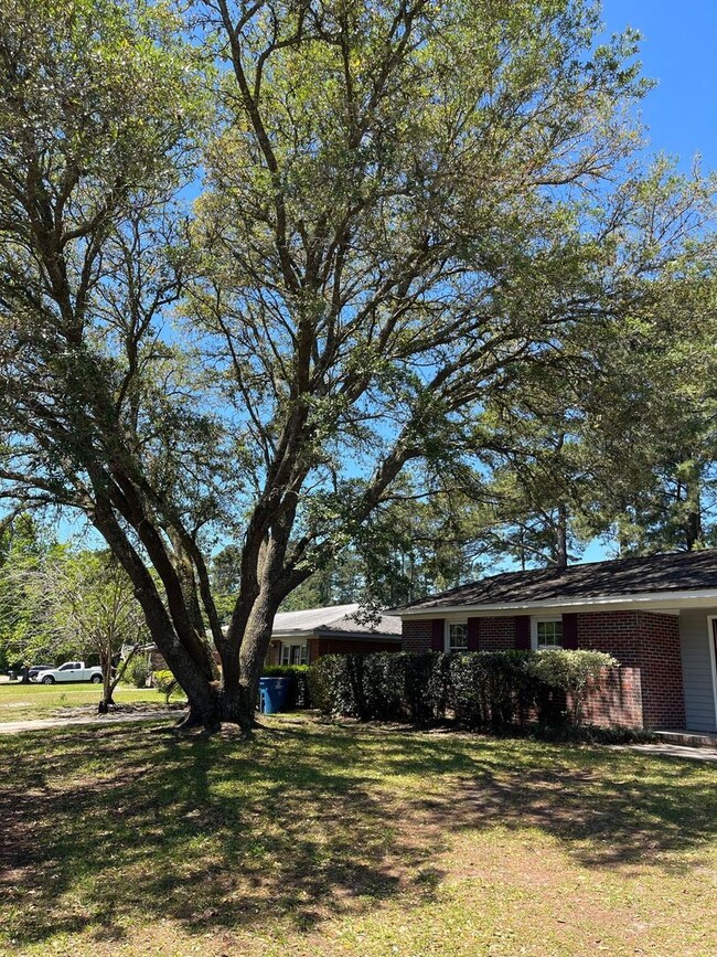 Building Photo - Nice 3bdrm Ranch in Summerville