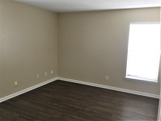 Building Photo - 3008 Secret Garden Ct