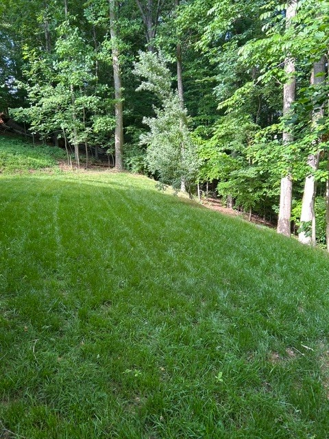 Building Photo - 4906 Wade Valley Way