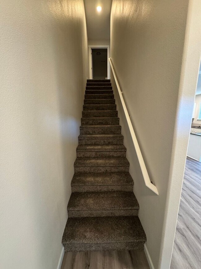 Building Photo - Brand New 3 Bed / 2.5 Bath Duplex! $250 Am...