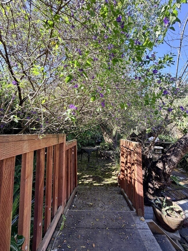 Building Photo - 2536 Sutter St