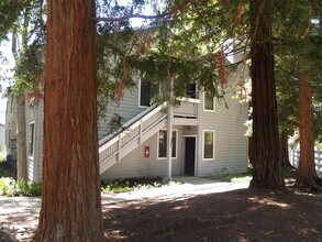 Building Photo - Beautiful, bright 3 bedroom 2 bathroom Dub...
