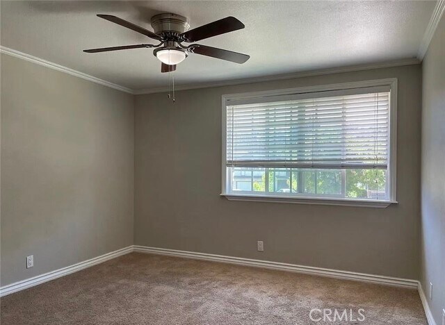 Building Photo - 1049 Evergreen Ct