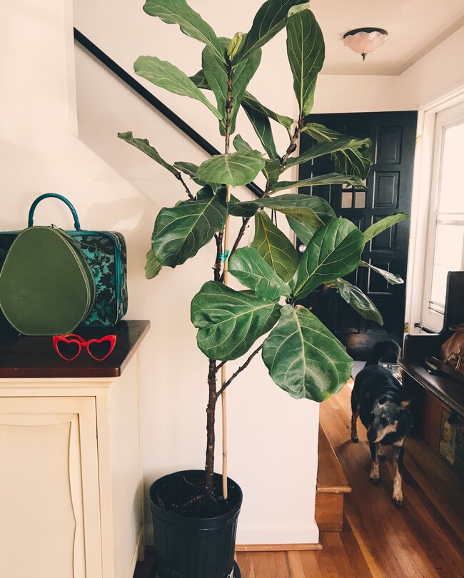 Building Photo - 411 W Arthur St