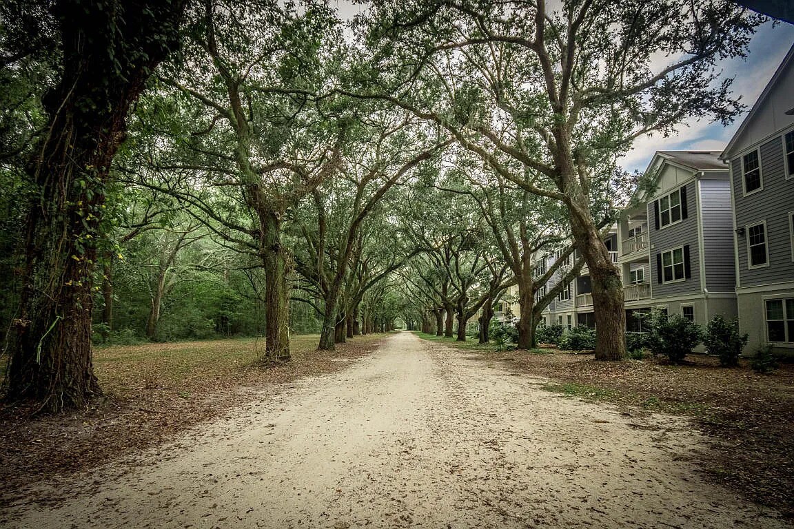 Building Photo - 60 Fenwick Hall Allee