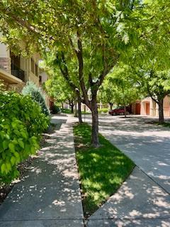 Building Photo - 1703 Whitehall Dr