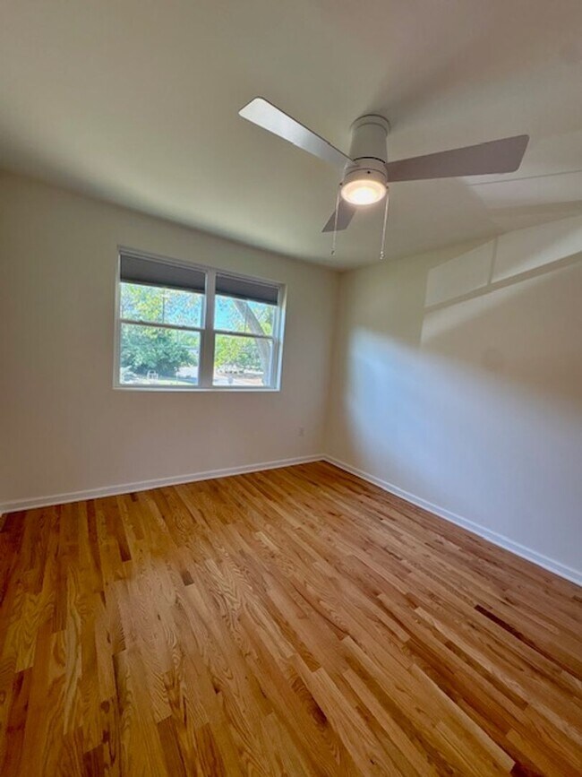 Building Photo - Newly Renovated Three Bedrooms Condo in South Windermere