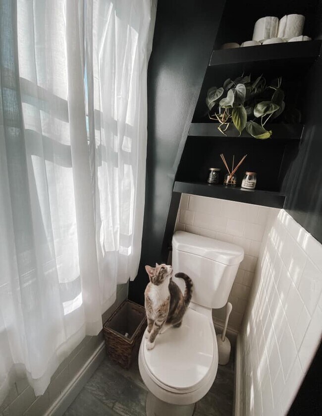 Building Photo - 356 Carpenter St