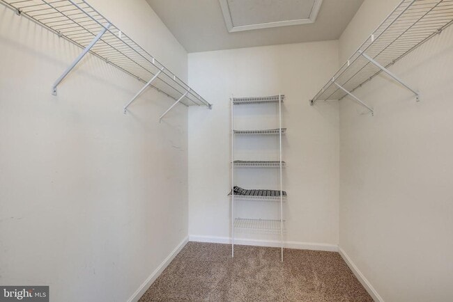 Building Photo - 151 Brynwood St