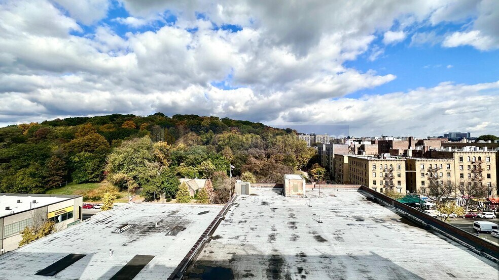 Building Photo - 1803 Riverside Dr