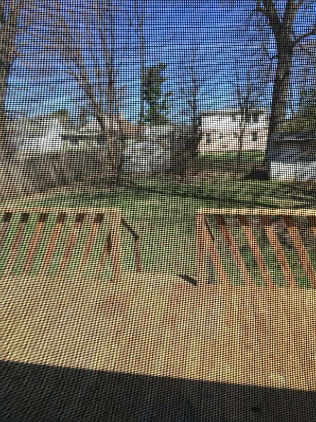 Building Photo - Spacious Mattydale 4 bed 1.5 bath home