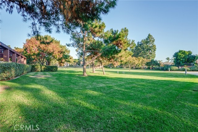 Building Photo - 3 Almador