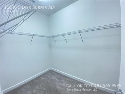 Building Photo - 11030 Silver Surfer Alley