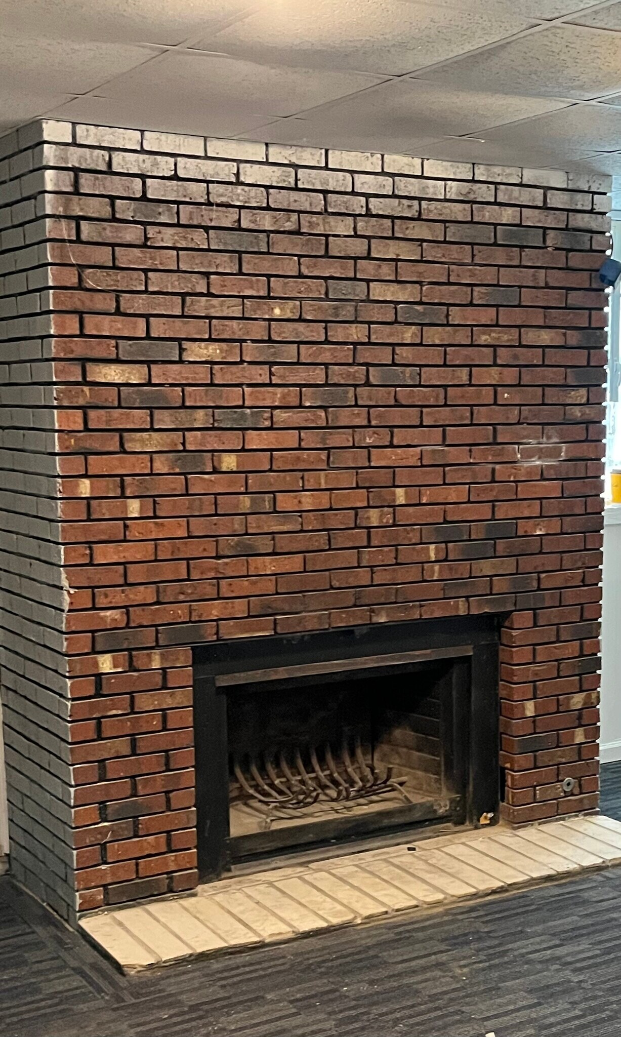 Building Photo - 3917 Bloomfield Dr