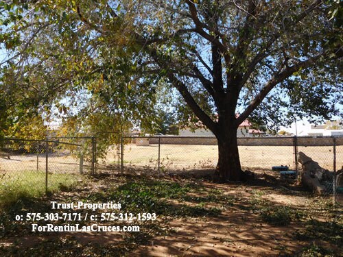 Building Photo - 5075 Inspiration