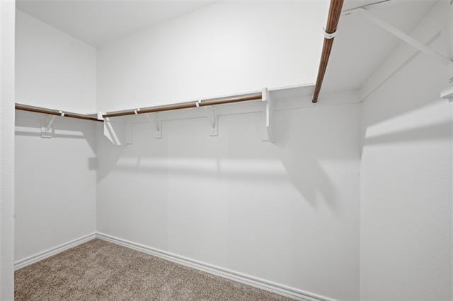 Building Photo - 1621 Babb Ln