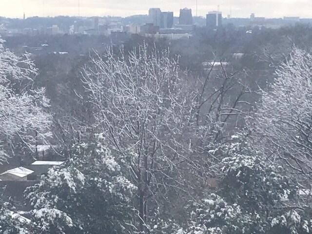 Building Photo - 2841 Boydga Rd