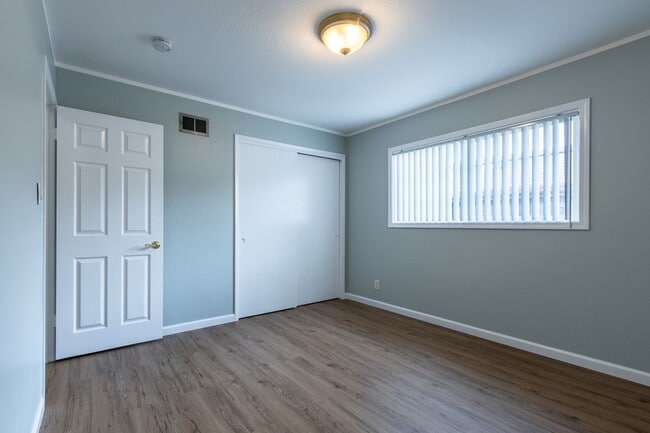 Building Photo - Beautiful & bright 3 bed / 2 Bath San Brun...