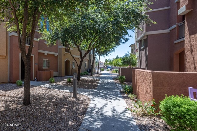 Building Photo - 240 W Juniper Ave
