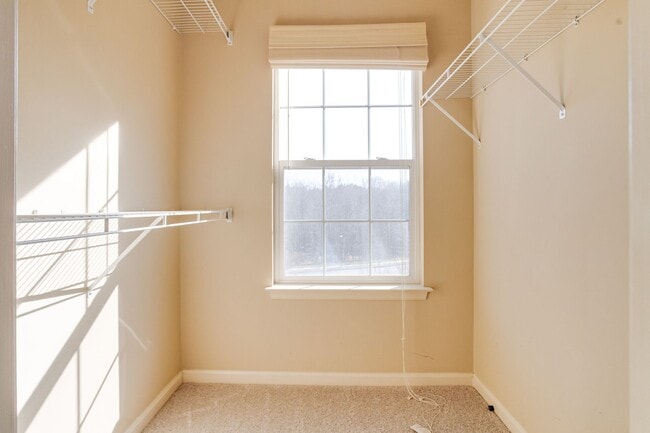 Building Photo - 1730 Bluffs Island Ct