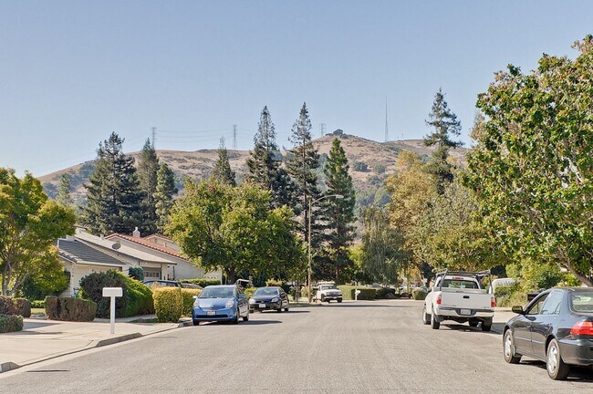 Building Photo - Gorgeous Three Bedroom Two Bathroom in San...