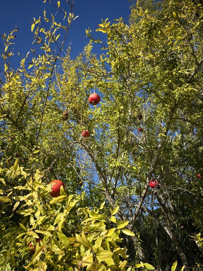 Building Photo - 1090 Devonshire Dr