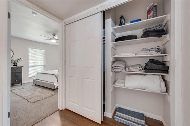 Building Photo - 5317 Rutledge Ct