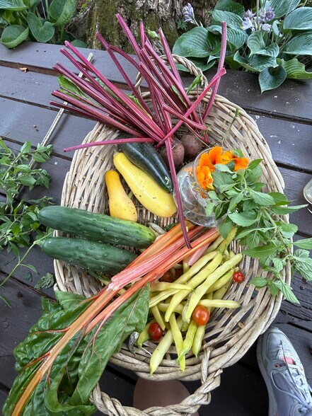 Fresh summer produce - 32 Meadow St