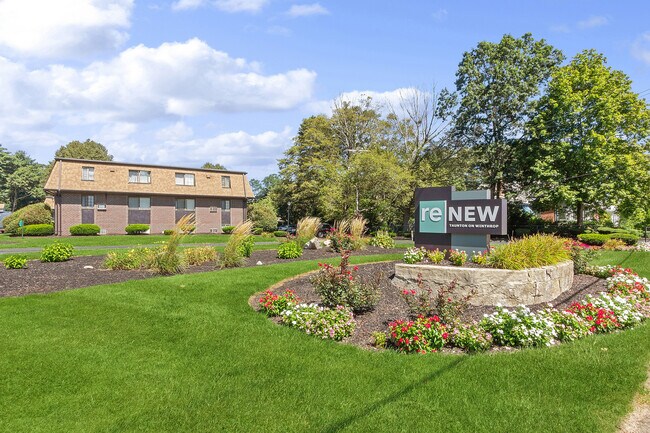 ReNew Taunton on Winthrop - ReNew Taunton on Highland