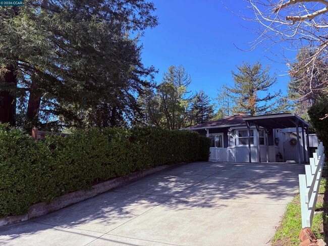 Building Photo - 143 Pulido Rd