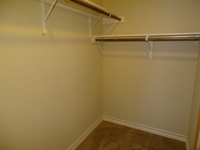 Building Photo - 6007 Karly Way