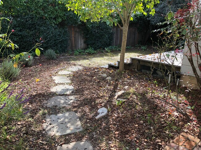 Back Yard - 820 Palo Alto Ave