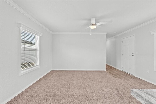 Building Photo - 5111 Caicos Calle