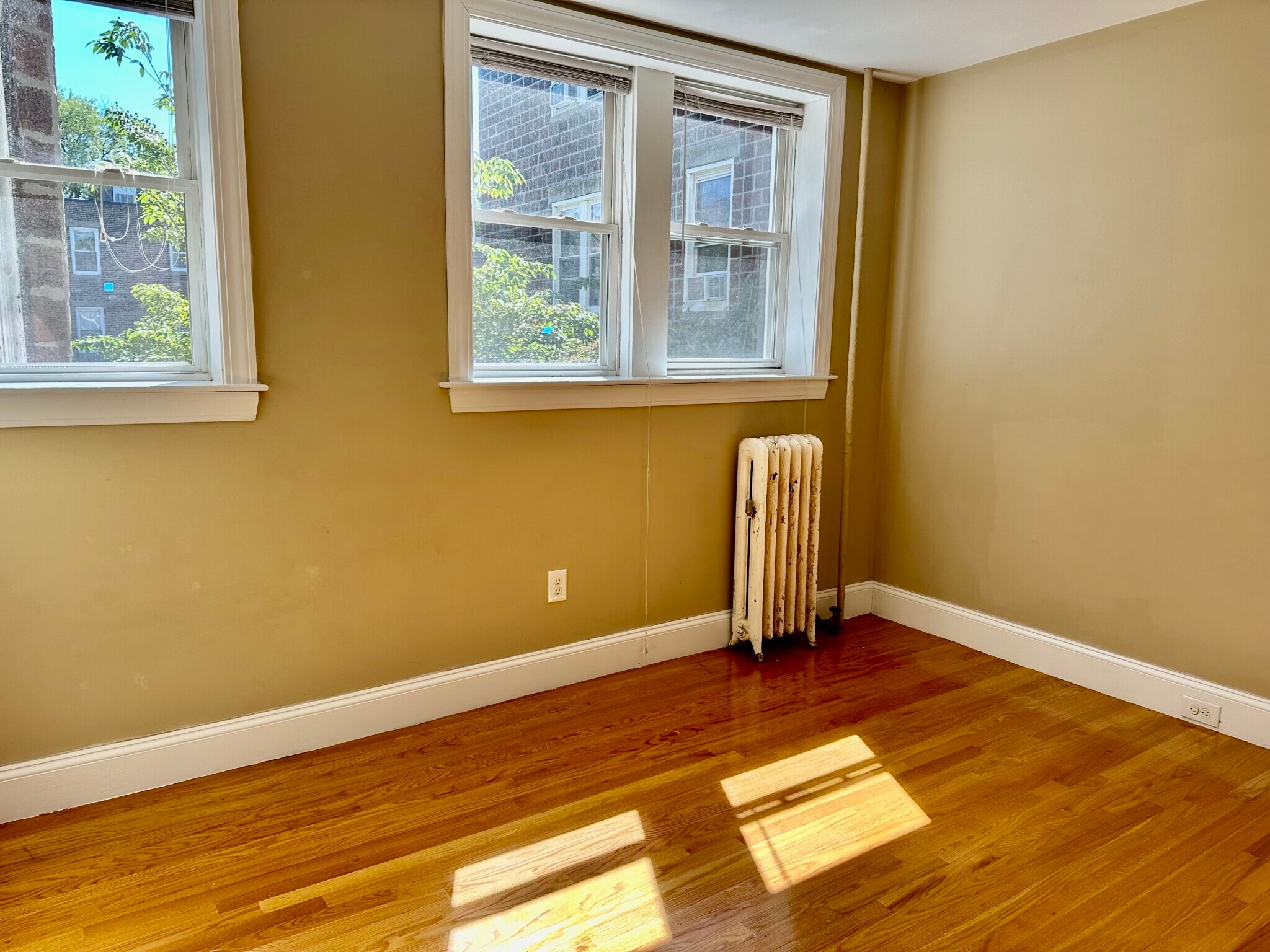 Building Photo - 72 Egmont St