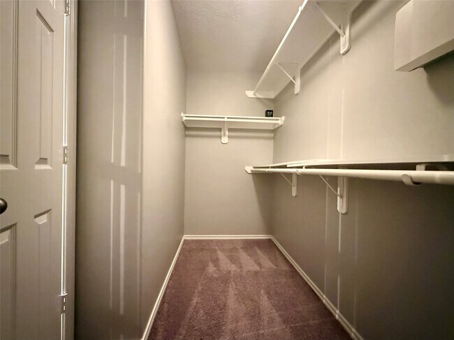 Building Photo - 6733 Hidden Colony Ln