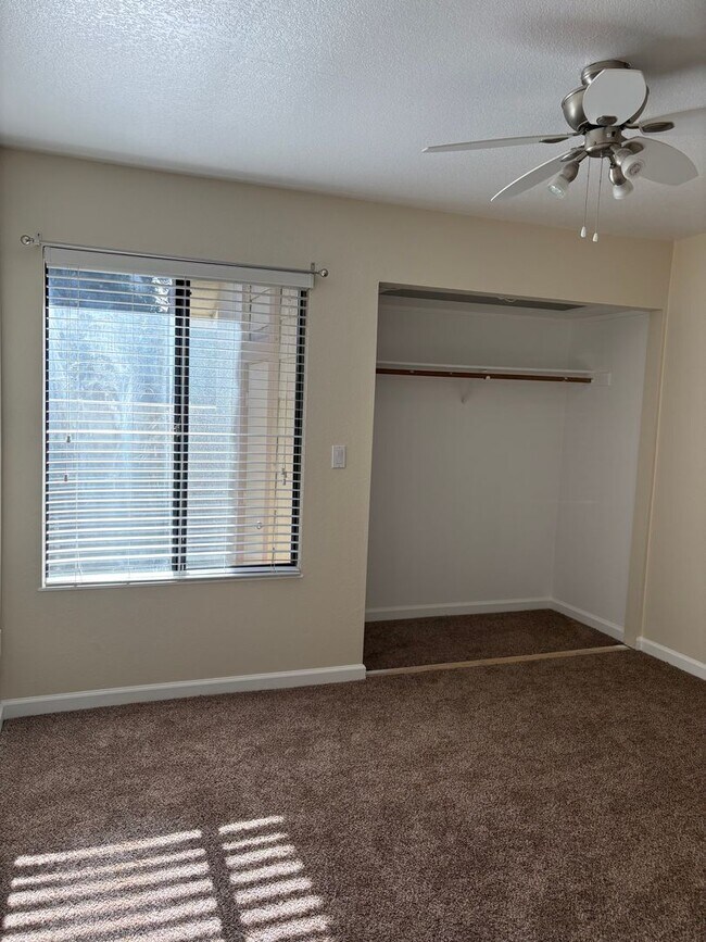 Building Photo - 244 Park Pl Dr