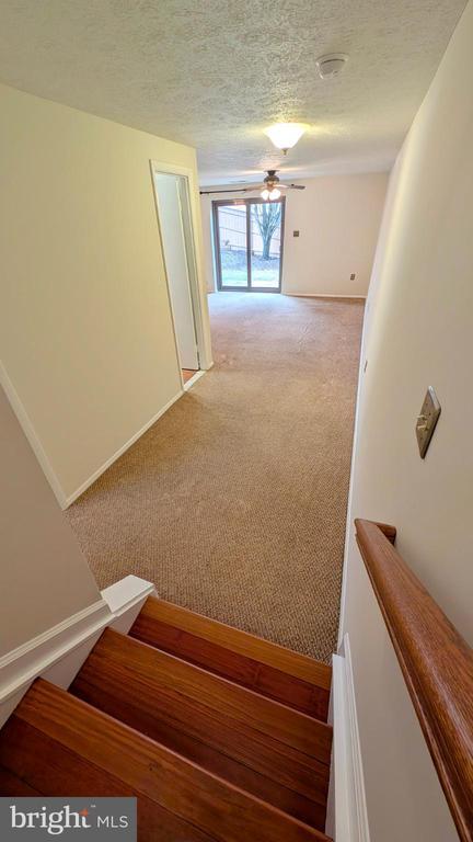 Building Photo - 33 Badger Gate Ct