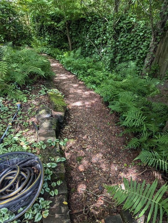 Building Photo - 557 Forest Ridge Ct