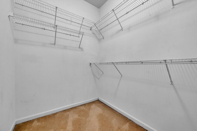 Building Photo - 1017 Ashwood Dr