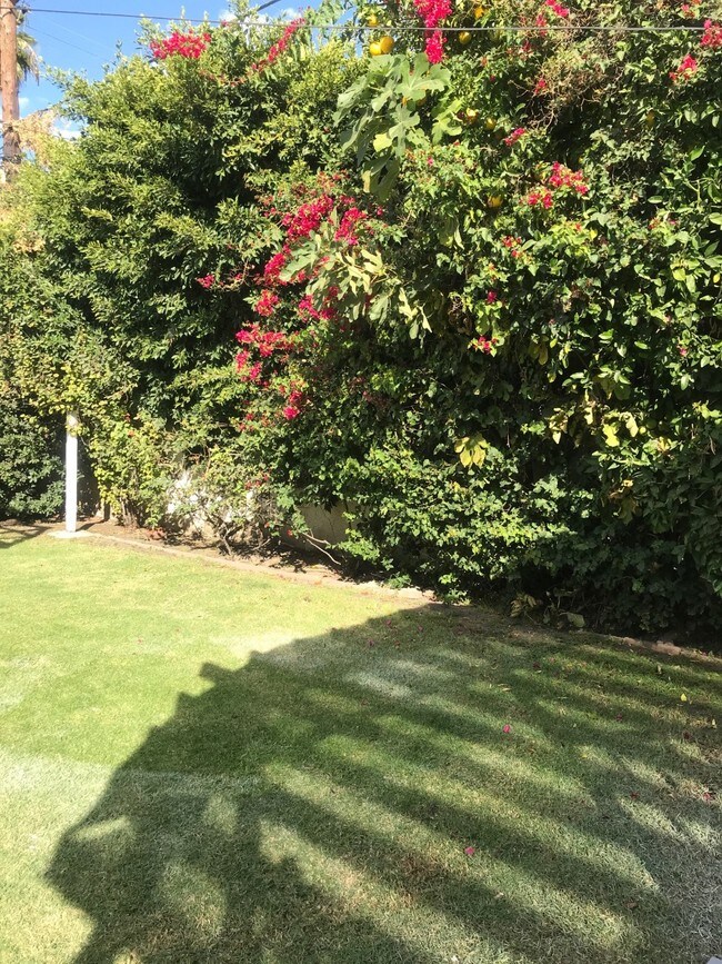 Building Photo - 8655 Clifton Way