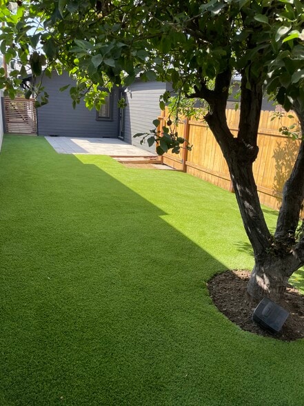 Backyard apple tree - 4336 Toland Way