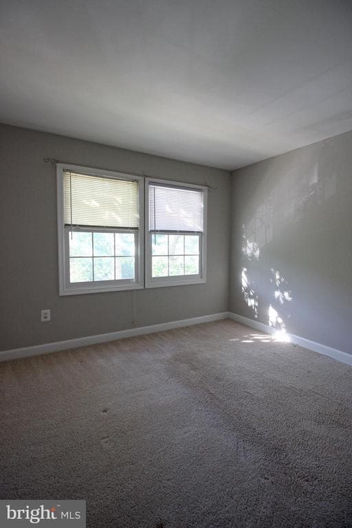 Building Photo - 3803 Salemway Ct