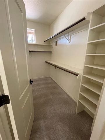 Building Photo - 702 Swift Water Dr
