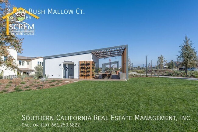 Building Photo - 27246 W Bush Mallow Ct