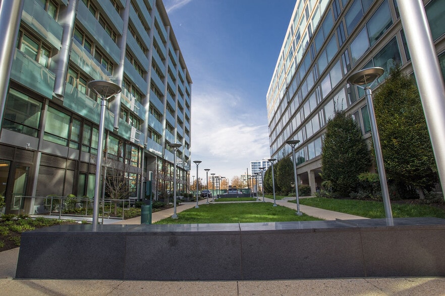 Front garden area. - 1101 3rd St SW