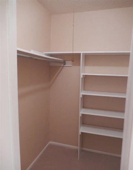Building Photo - Available July 6: Spacious Home With Large...