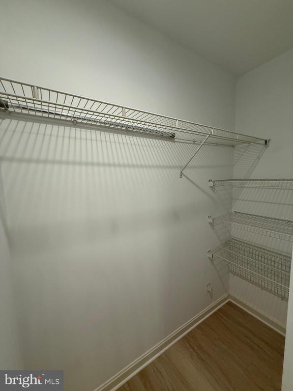 Building Photo - 7137 Wytheville Cir